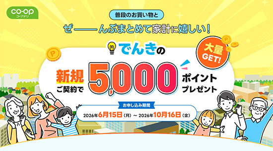 普段のお買い物とをぜーんぶまとめて家計に嬉しい！でんきの新規ご契約で5,000ポイントプレゼント 大量GET! お申込み期間 2026年6月15日（月）～2027年10月16日（金）